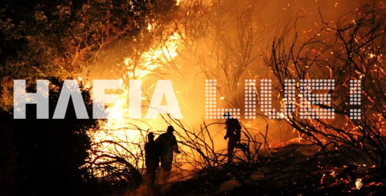 Πύργος: Φωτιά στη Μούτελη σε βαλτώδη περιοχή
