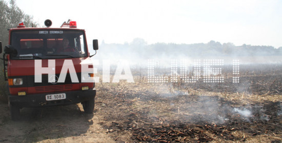 Υπολείμματα καλλιεργειών αραβόσιτου έκαψε η πυρκαγιά στα Βυτινέϊκα.