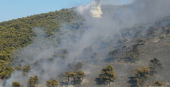 Ανεξέλεγκτη η πυρκαγιά στο Μαρκόπουλο (ΦΩΤΟ & VIDEO)