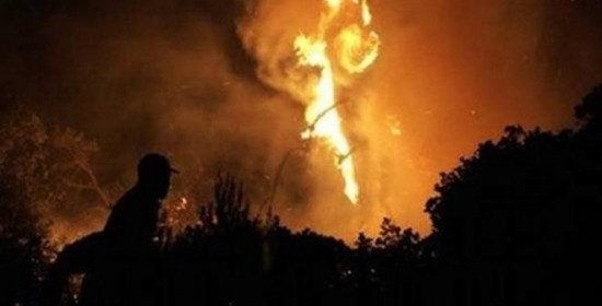Αχαΐα: Φωτιά τα ξημερώματα στο Μίραλι - Μεγάλη κινητοποίηση της Πυροσβεστικής