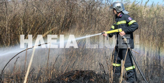 Υπό έλεγχο οι πυρκαγιές σε Αμαλιάδα – Όλγα Τραγανού (Νεότερη ενημέρωση)