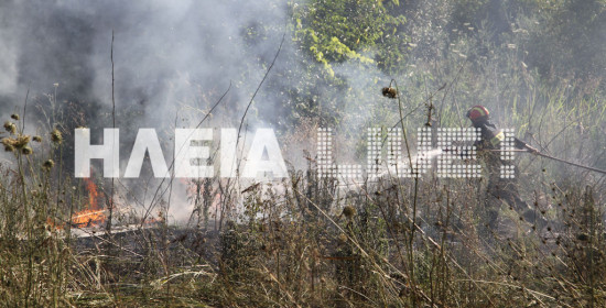 Ηλεία: Δασική πυρκαγιά σε περιοχή κοντά στον Ασκητή Γουμέρου