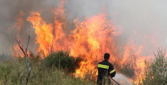 Αχαΐα: Πυρκαγιά σε χαμηλή βλάστηση στα Νιφορέικα