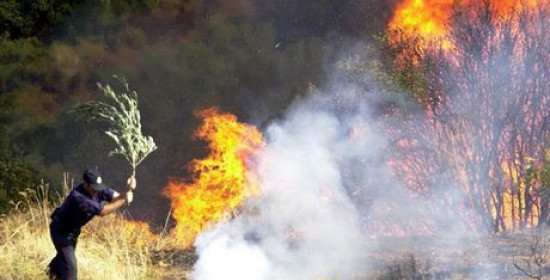 Πουρνάρι Ολυμπίας: Δασική πυρκαγιά σε δύσβατο σημείο