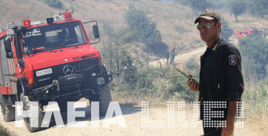 "Έκρηξη" Νικολακόπουλου για τη φωτιά στη Λαμπεία – Ανάσταση στις φλόγες έκαναν οι πυροσβέστες