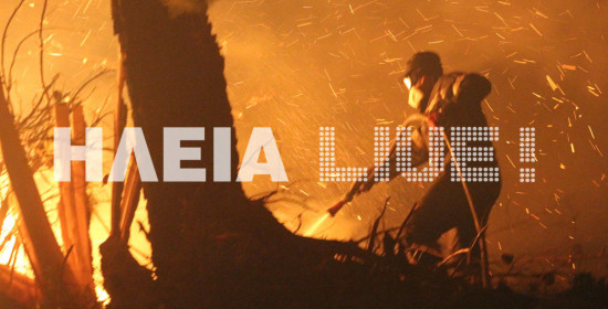 Αμαλιάδα: Μεγάλη δασική πυρκαγιά στο Κρυονέρι - Μεγάλη κινητοποίηση της Πυροσβεστικής