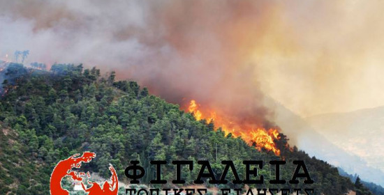 Τέθηκε υπό έλεγχο η πυρκαγιά στα σύνορα Ηλείας - Μεσσηνίας - Έκαψε 100 στρέμματα δάσους