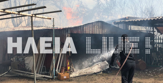 Πύργος: Σε ύφεση η πυρκαγιά της Σπιάντζας - Κάηκαν αποθήκες - Οι φλόγες έγλυψαν τα σπίτια (photos & video)