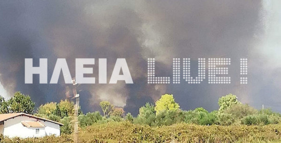 Ηλεία: Τρεις πυρκαγιές στη Βουπρασία - Κινητοποίηση της Πυροσβεστικής