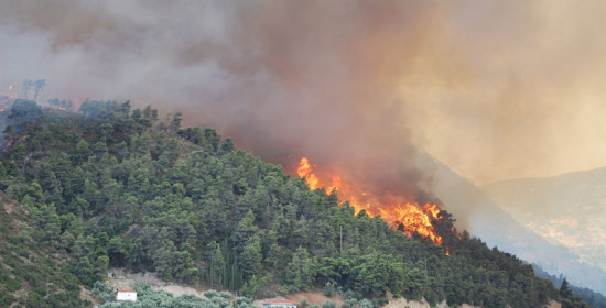 Δάφνη Αμαλιάδας: Πυρκαγιά σε δάσος σε εξέλιξη