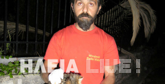 Ηλεία: Ξεπάστρεψαν τις γάτες στα Ροδινά