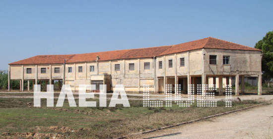 Ηλεία: Φορείς ζητούν την επαναλειτουργία του Ινστιτούτου ΕΘΙΑΓΕ στον Κόροιβο Γαστούνης