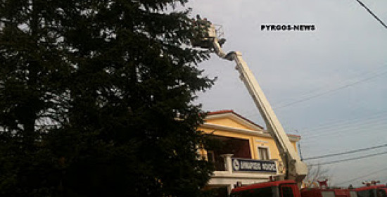 Λάλας Ηλείας: Επιχείρηση της Πυροσβεστικής για "κούρεμα" σε έλατο