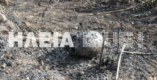 Aρχ. Ολυμπία: Θρίλερ με ανθρώπινο κρανίο σε πυρκαγιά στο Στρέφι (video)