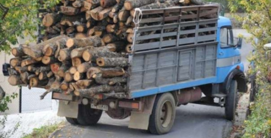 Στροφυλιά: Λαθρουλοτόμοι άνοιξαν πυρ κατά δασοφυλάκων- Μετέφεραν 6 τόνους ξύλα 