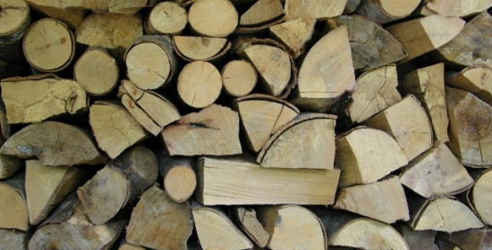 Φολόη: Κατασχέθηκε παράνομη ξυλεία από το Δασαρχείο Πύργου