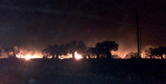 Ανεξέλεγκτες πυρκαγιές στη Κυπαρισσία - Μέτωπα προς Φιλιατρά και Μεμί