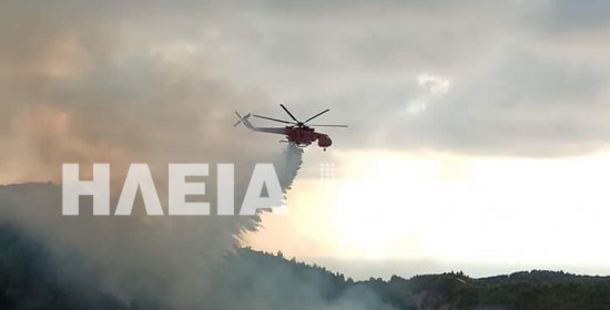 Λέπρεο: Ξέσπασε πυρκαγιά μέσα σε δύσβατη δασική έκταση (photos)