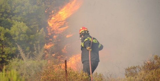 Στις φλόγες για τρίτη ημέρα η Μαλεσίνα - Στις 46 οι φωτιές σε όλη τη χώρα