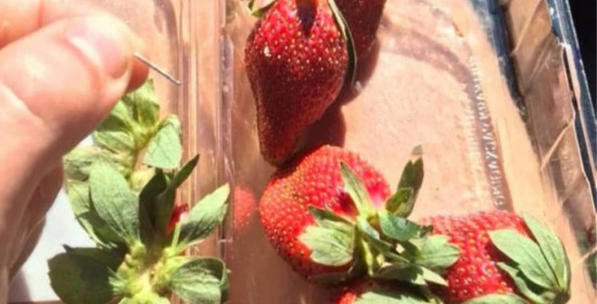  Οι ειδικοί μιλούν για τις φράουλες στην Αυστραλία: Γιατί κάποιος μπορεί να χώνει βελόνες σε φρούτα
