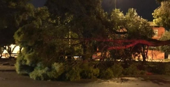 Ο «Ξενοφών» ξερίζωσε δέντρα στην Αθήνα - 350 κλήσεις έχει δεχτεί η Πυροσβεστική