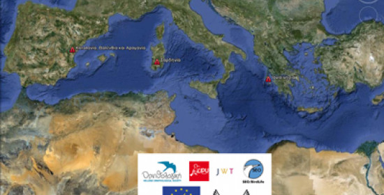 Ελλάδα, Ιταλία και Ισπανία ενώνουν τις δυνάμεις τους κατά της λαθροθηρίας 