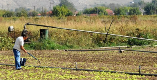 Στον "αέρα" 77 παραγωγοί του δήμου Ήλιδας - Δεν αποζημιώνονται για τις ζημιές που υπέστησαν οι καλλιέργειες τους 