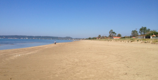 Εκστρατεία καθαρισμού ξεκίνησε στις παραλίες του Δήμου Πύργου 