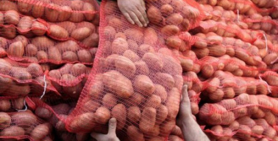 Μόνο ελληνική πατάτα στην Ηλεία λέει η Διεύθυνση Αγροτικής Οικονομίας