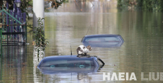 Ηλεία: Ξεπερνούν τα 20 εκατ. ευρώ οι ζημιές από τις πλημμύρες