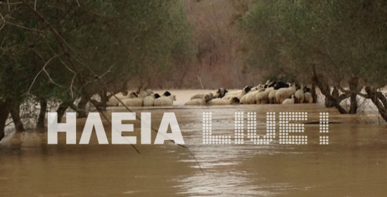 Γεωργοπούλου - Σαλτάρη: Να γίνει τώρα η υλοποίηση των Αντιπλημμυρικών έργων και η οριοθέτηση του ποταμού Αλφειού