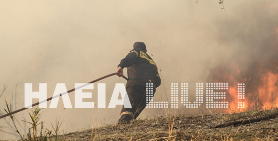 Ηλεία: Δύο ταυτόχρονες πυρκαγιές σε Λάνθι και Κοσκινά Ολυμπίας (photo & video)