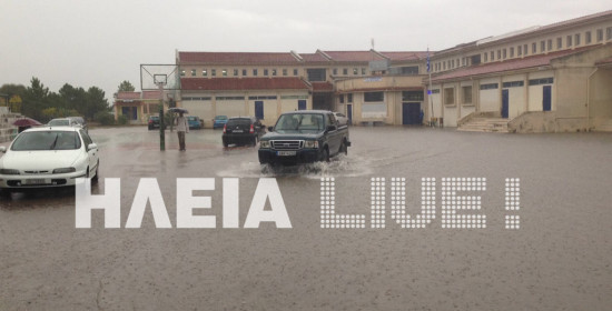 Αυγερινοπούλου: Ερώτηση για τα πλημμυρισμένα Δημοτικά Σχολεία του Πύργου