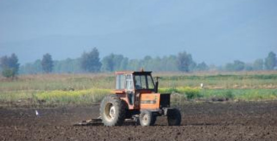 "Ξεριζώθηκε" κύκλωμα επιστροφών ΦΠΑ σε αγρότες και στην Ηλεία