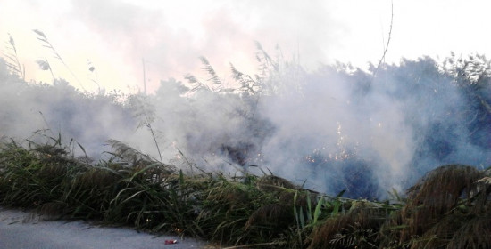 Καϊάφας:Πυρκαγιά μαίνεται σε ελώδη έκταση και καλαμιώνες