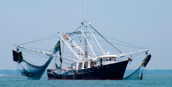  Υποχρεωτική η εγκατάσταση VMS στα επαγγελματικά σκάφη αλιείας 