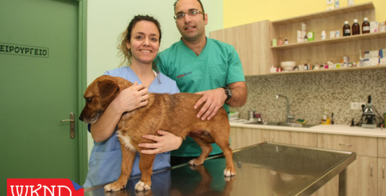 Κτηνιατρείο Σωτηρόπουλου - Σκουμπούρη: Υψηλό επίπεδο προσφοράς στα ζώα 