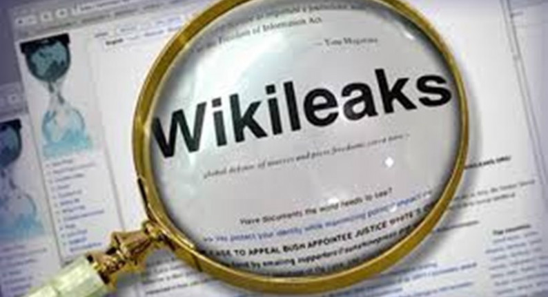Wikileaks: