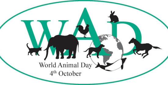 Φιλοζωϊκός Σύλλογος Πύργου: Η Παγκόσμια ημέρα των ζώων