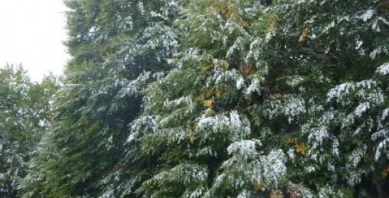 Αχαϊα: Έπεσαν τα πρώτα χιόνια στον Χελμό - Έπιασε χειμώνας από τον Οκτώβριο