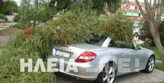 Αμαλιάδα: Δέντρο πλάκωσε αυτοκίνητα στο κέντρο της πόλης